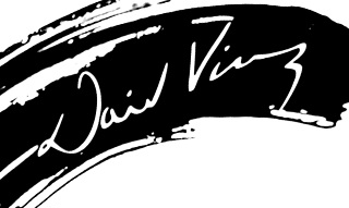 David Vincenzi